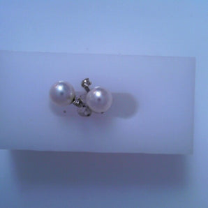 Lady's 14k White Gold Pearl Earrings