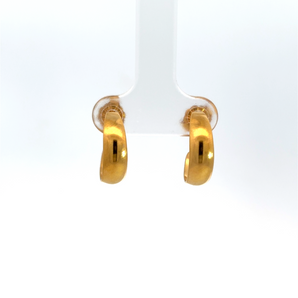 Silver and Gold Plated Earring