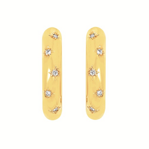 Silver and Gold Plated Earring