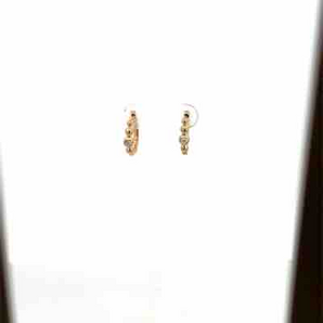 Silver and Gold Plated Earring
