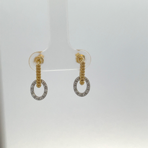 Silver and Gold Plated Earring