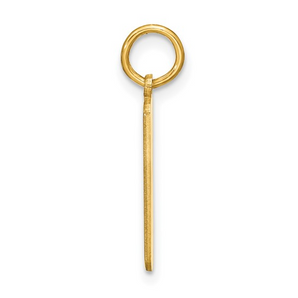 Silver and Gold Plated Charms/Pendant