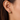 Silver and Gold Plated Earring