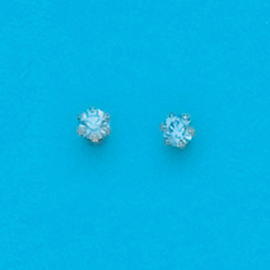 Silver and Gold Plated Earring