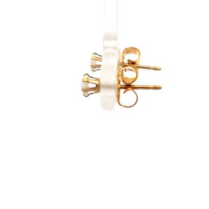 Silver and Gold Plated Earring