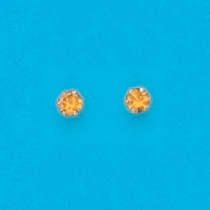 Silver and Gold Plated Earring