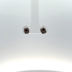 Silver and Gold Plated Earring