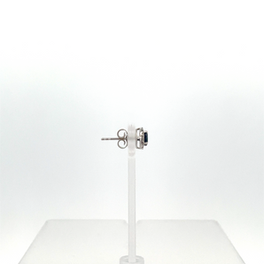 Lady's 10k White Gold Earrings