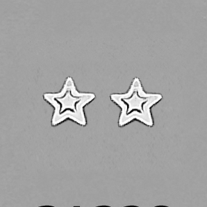 Silver and Gold Plated Earring