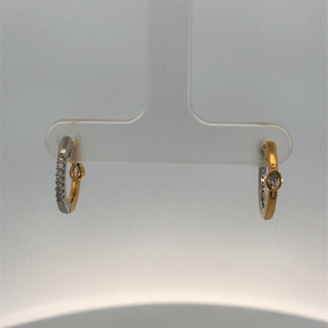 Silver and Gold Plated Earring