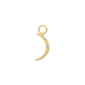 Silver and Gold Plated Earring