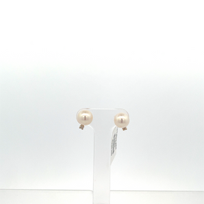 Lady's 14k Yellow Gold Pearl Earrings