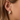 Silver and Gold Plated Earring