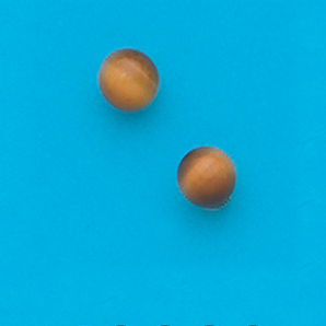 Gold Plated 5MM Tiger Eye Stud Earrings