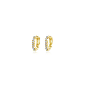 Silver and Gold Plated Earring