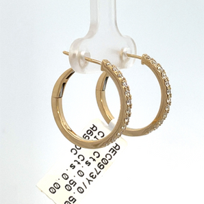 14k Yellow Gold Hoop Earrings