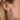Silver and Gold Plated Earring