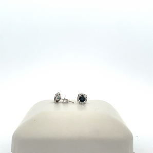 14k White Gold Sapphire Earrings