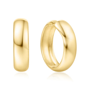 Silver and Gold Plated Earring