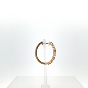 14k Yellow Gold Earrings