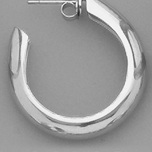 Silver and Gold Plated Earring