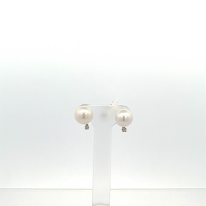 Lady's 14k White Gold Pearl Earrings
