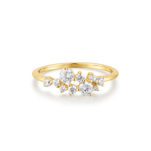 Silver and Gold Plated Ring