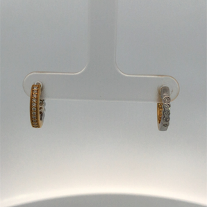 Silver and Gold Plated Earring