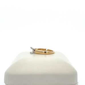 14k Yellow and White Gold Setting