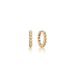 Silver and Gold Plated Earring