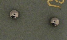 Silver and Gold Plated Earring