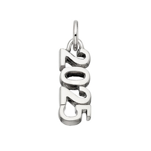 Silver and Gold Plated Charms/Pendant