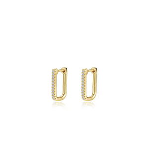 Silver and Gold Plated Earring