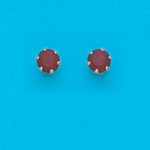 Sterling Silver January Stud Earrings