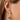 Silver and Gold Plated Earring
