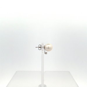 Lady's 14k White Gold Pearl Earrings